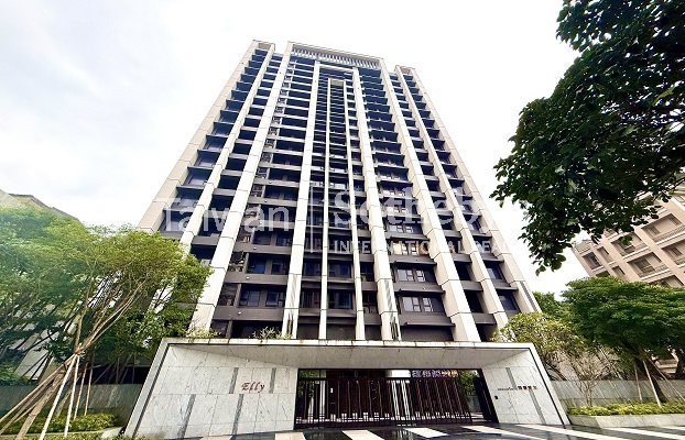 內湖頂樓兩房露台戶遠眺 101