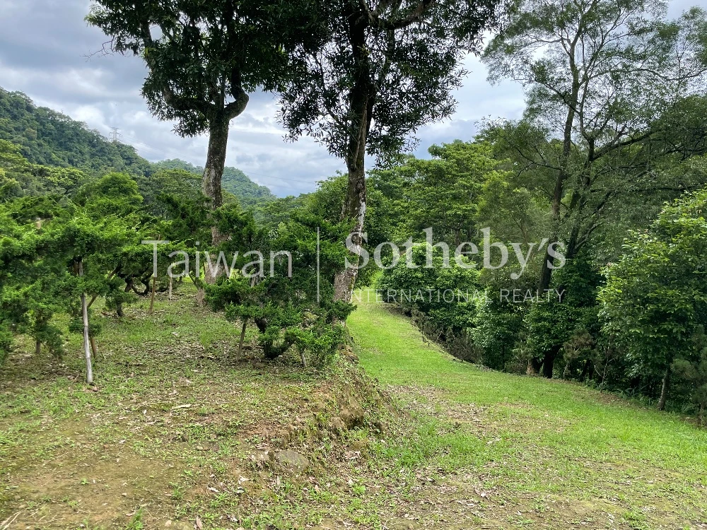 現場實景