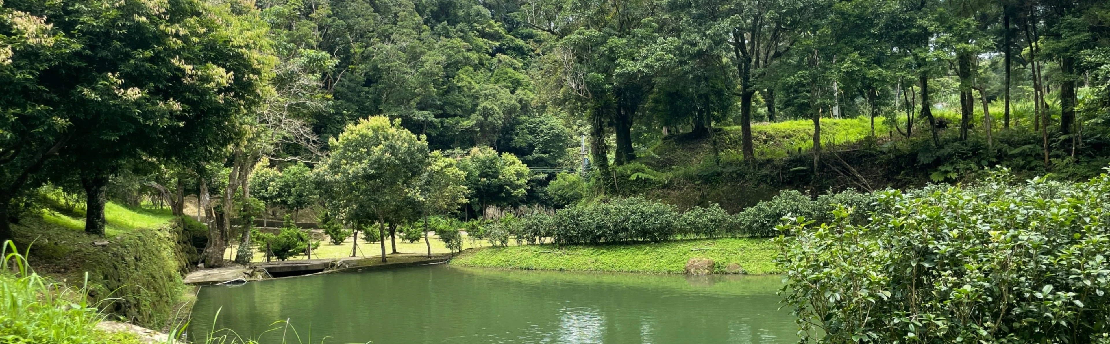  石碇月扇湖山林地 - 物件實景