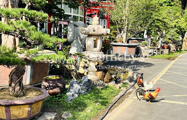 晴嶼之丘 Sunny Isle Estate現場實景