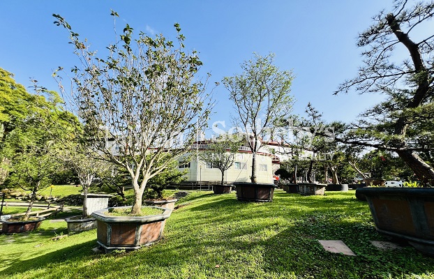 晴嶼之丘 Sunny Isle Estate現場實景