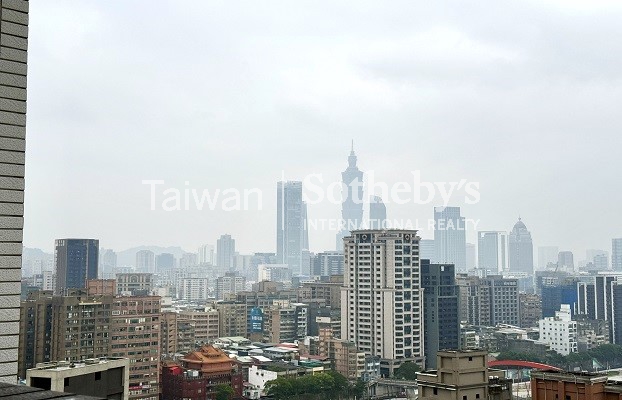 內湖頂樓兩房露台戶遠眺 101景觀照