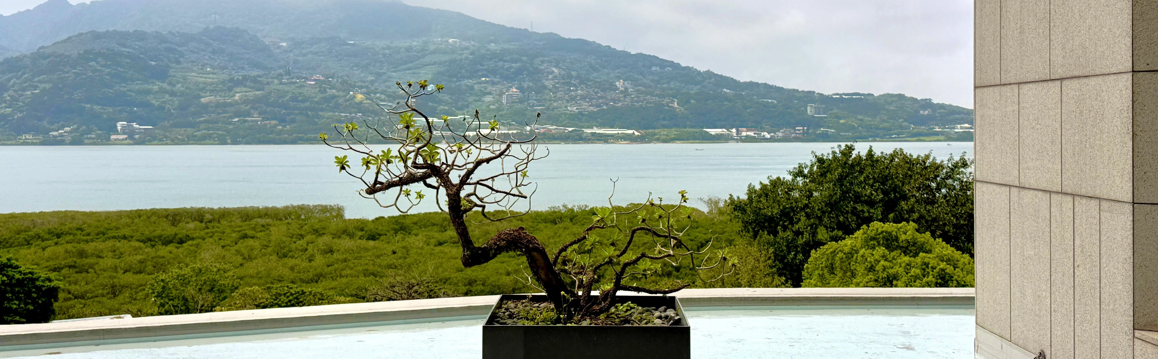  海帝高樓靜賞淡江大橋溫泉宅 - 物件實景