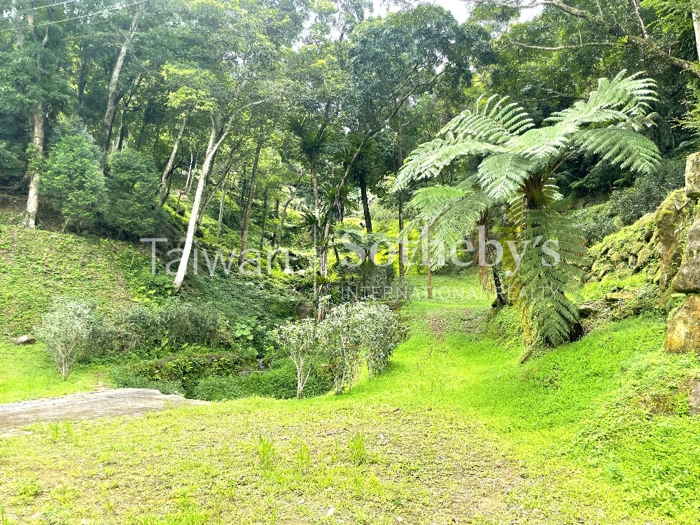 現場實景