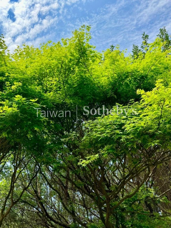 現場實景